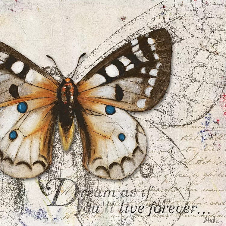 Living Your Dreams I by Patricia Pinto wall art