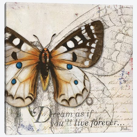 Living Your Dreams I Canvas Print #PPI483} by Patricia Pinto Canvas Art