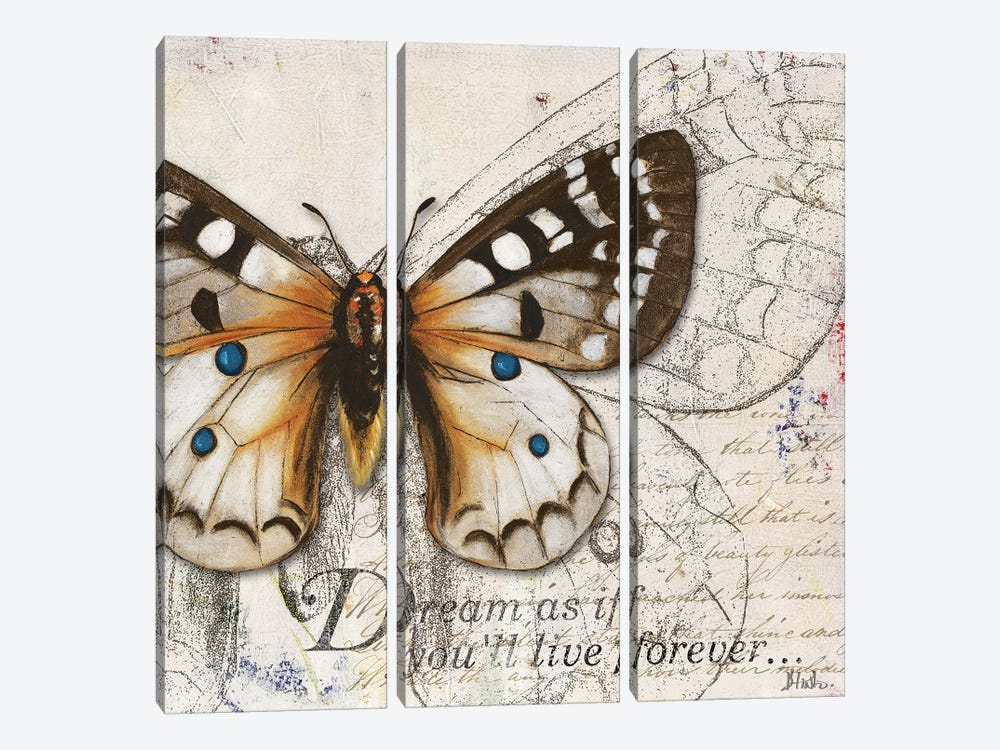 Living Your Dreams I by Patricia Pinto 3-piece Canvas Print
