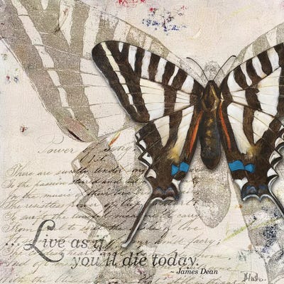 Living Your Dreams II by Patricia Pinto art print