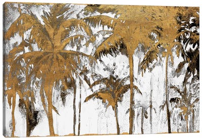 Luxe Palms I Canvas Art Print - Black, White & Gold Art