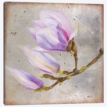Magnolia On Silver Leaf I Canvas Print #PPI488} by Patricia Pinto Canvas Wall Art