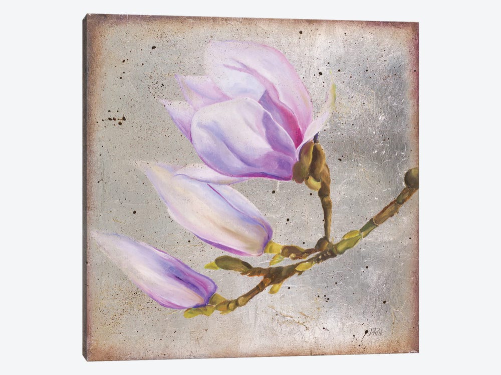 Magnolia On Silver Leaf I by Patricia Pinto 1-piece Canvas Artwork