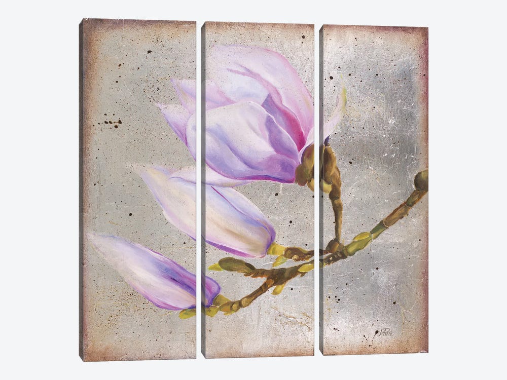 Magnolia On Silver Leaf I by Patricia Pinto 3-piece Canvas Art