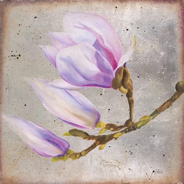 Magnolias: Magnolia On Silver Leaf I by Patricia Pinto