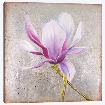 Magnolia On Silver Leaf II Canvas Print #PPI489} by Patricia Pinto Canvas Wall Art