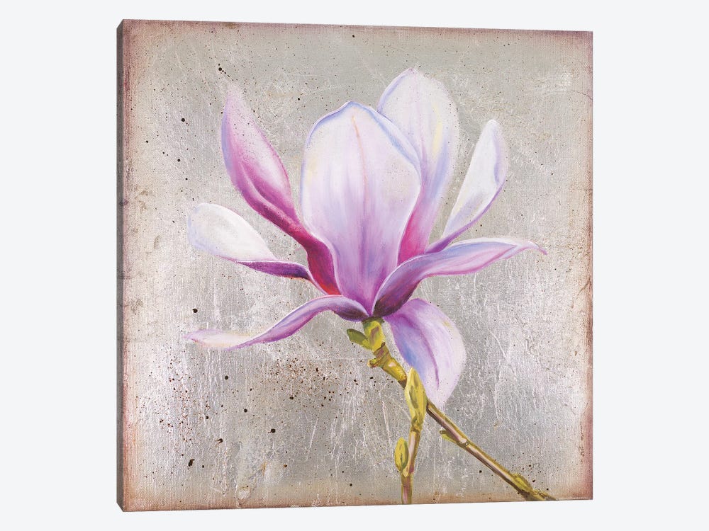 Magnolia On Silver Leaf II by Patricia Pinto 1-piece Art Print
