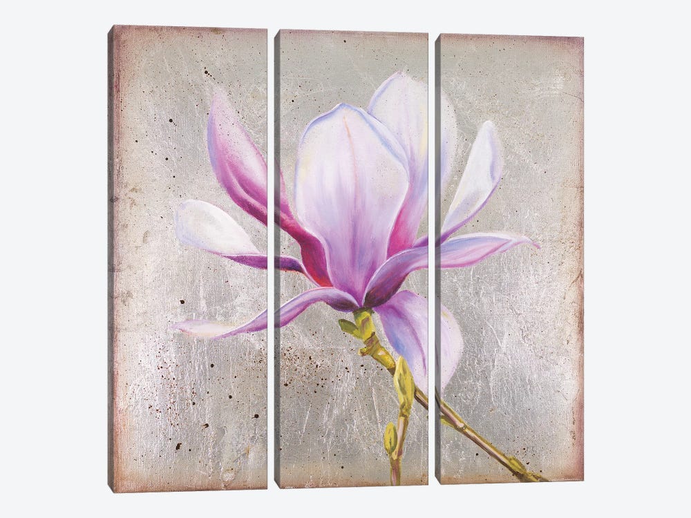 Magnolia On Silver Leaf II by Patricia Pinto 3-piece Canvas Art Print