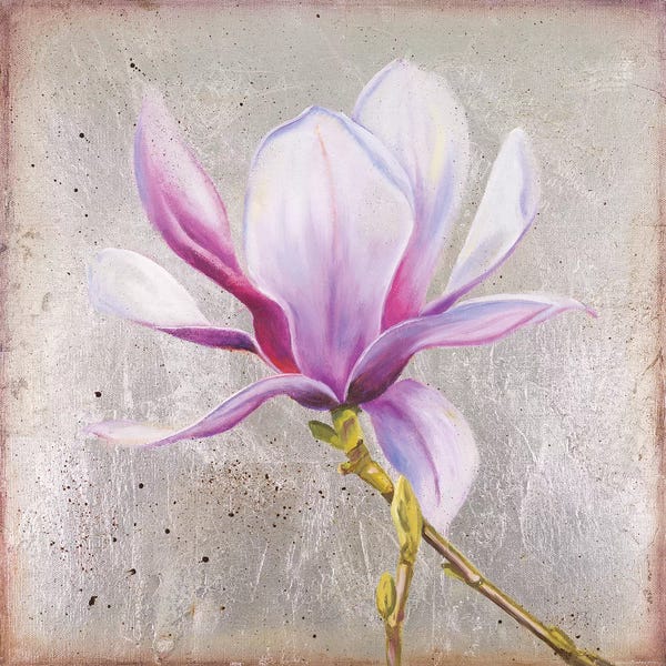 Magnolias: Magnolia On Silver Leaf II by Patricia Pinto
