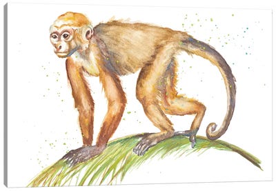 Monkeys In The Jungle II Canvas Art Print - Monkey Art