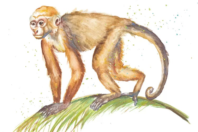 Monkeys In The Jungle II by Patricia Pinto wall art