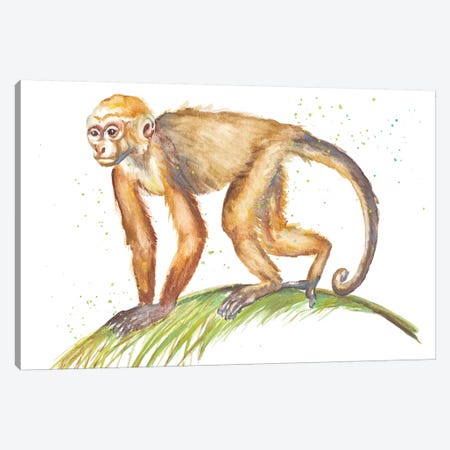 Monkeys In The Jungle II Canvas Print #PPI495} by Patricia Pinto Canvas Art