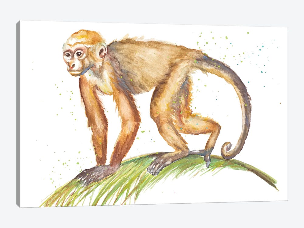 Monkeys In The Jungle II by Patricia Pinto 1-piece Canvas Art