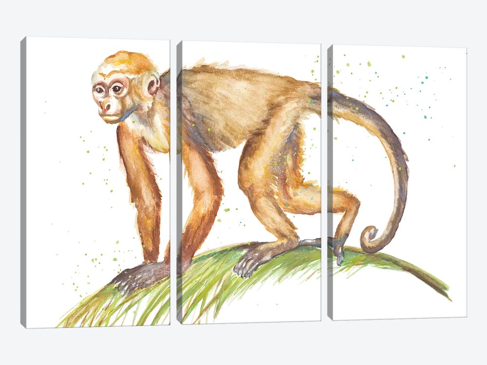 Monkeys In The Jungle II by Patricia Pinto 3-piece Canvas Art