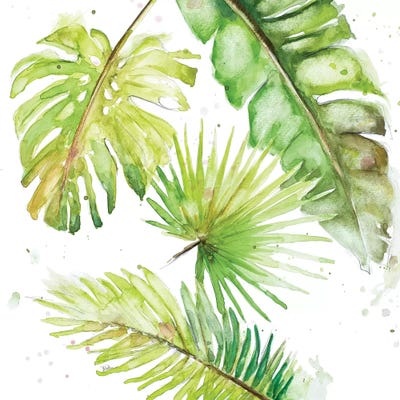 New Greens by Patricia Pinto canvas print