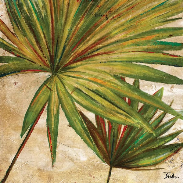 Patricia Pinto: New Palmera Take Two II by Patricia Pinto
