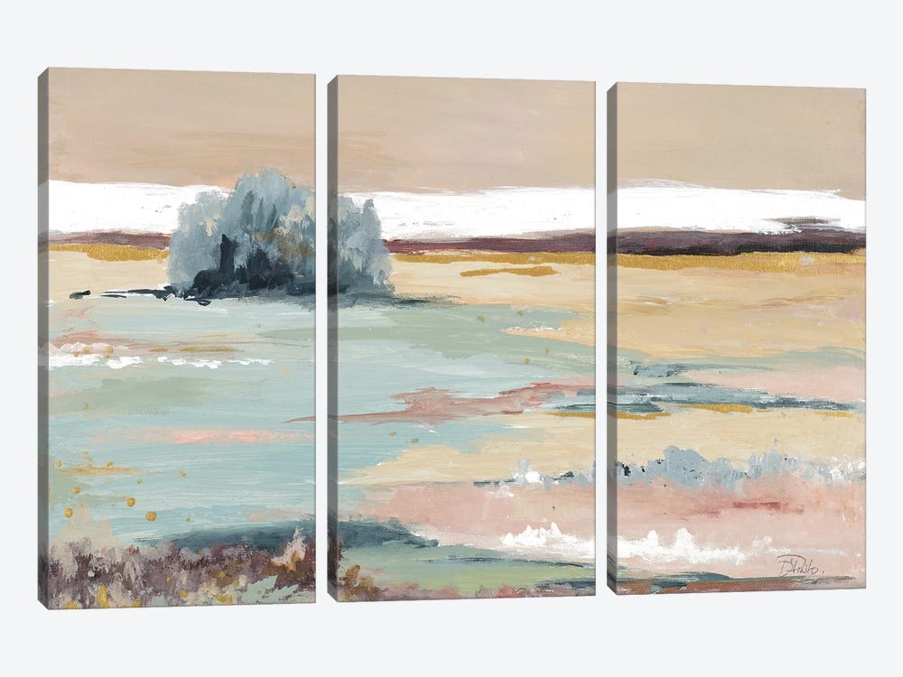 Nice And Calm by Patricia Pinto 3-piece Canvas Artwork