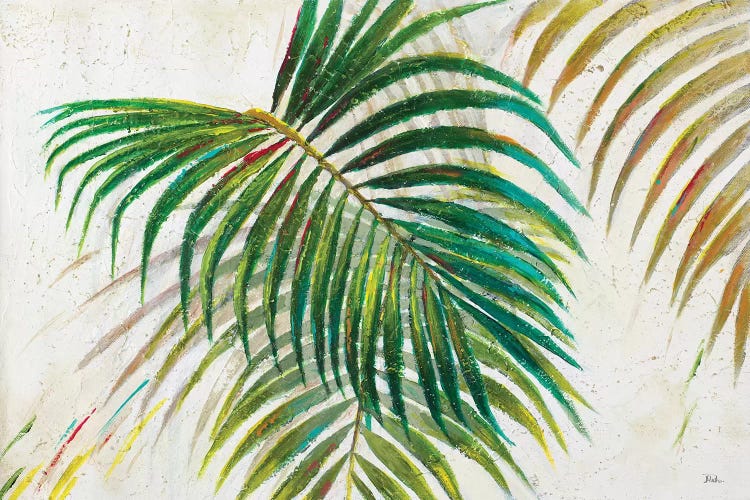 Palmas Di VIento