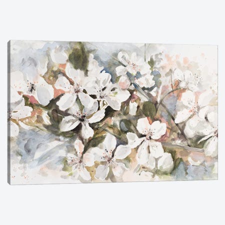 Peach Blossom Canvas Print #PPI523} by Patricia Pinto Canvas Print