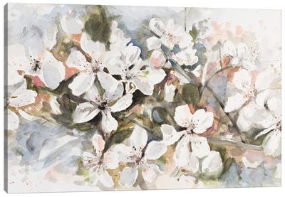 Peach Blossom Canvas Art Print