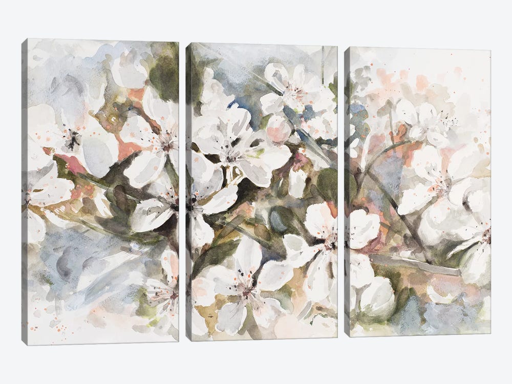 Peach Blossom by Patricia Pinto 3-piece Canvas Wall Art
