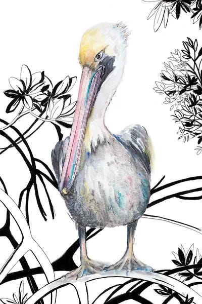 Patricia Pinto: Pelican On Branch I by Patricia Pinto