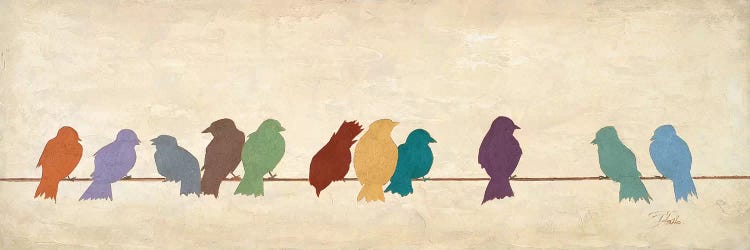 Birds Meeting  (assorted colors)