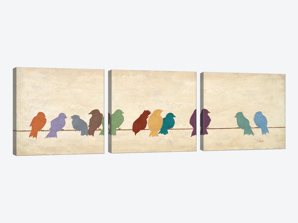 Birds Meeting  (assorted colors) by Patricia Pinto 3-piece Canvas Print