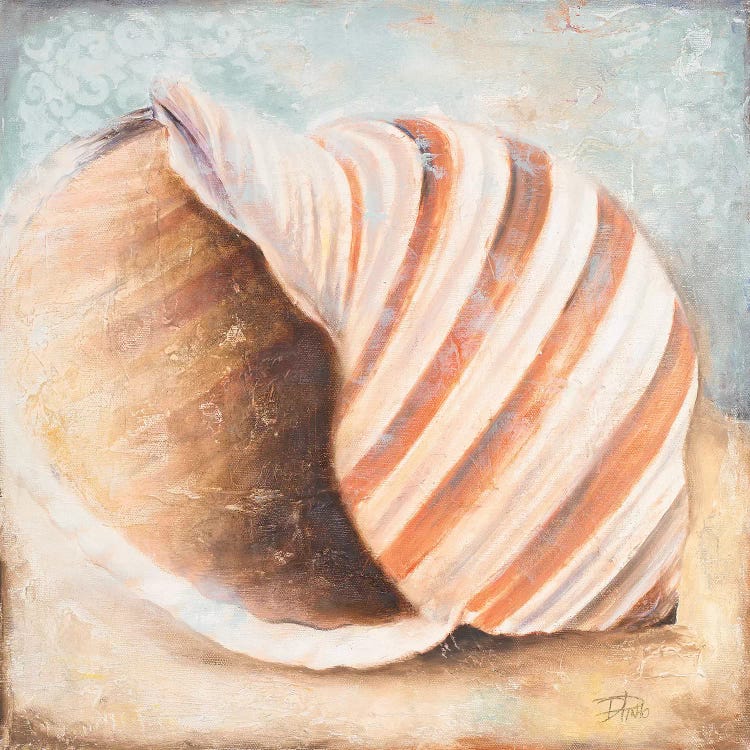 Seashell Collection I