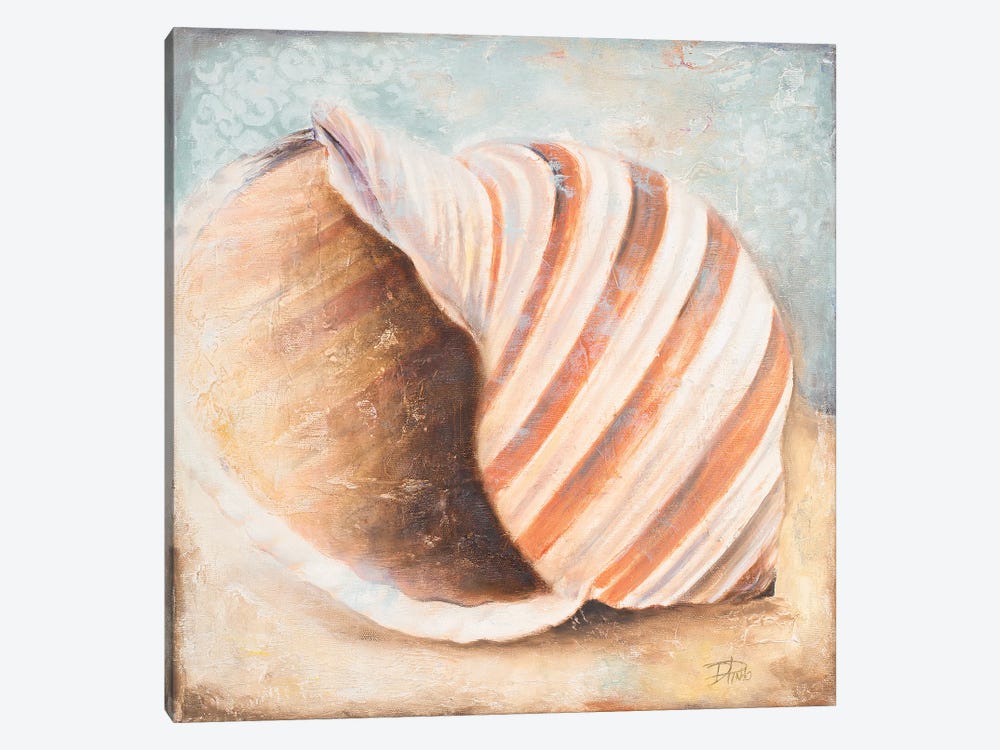 Seashell Collection I by Patricia Pinto 1-piece Canvas Art