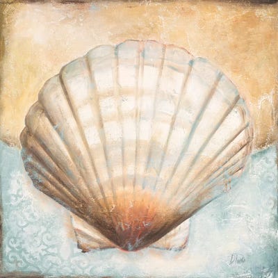 Seashell Collection III by Patricia Pinto canvas print