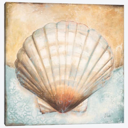 Seashell Collection III Canvas Print #PPI543} by Patricia Pinto Canvas Print