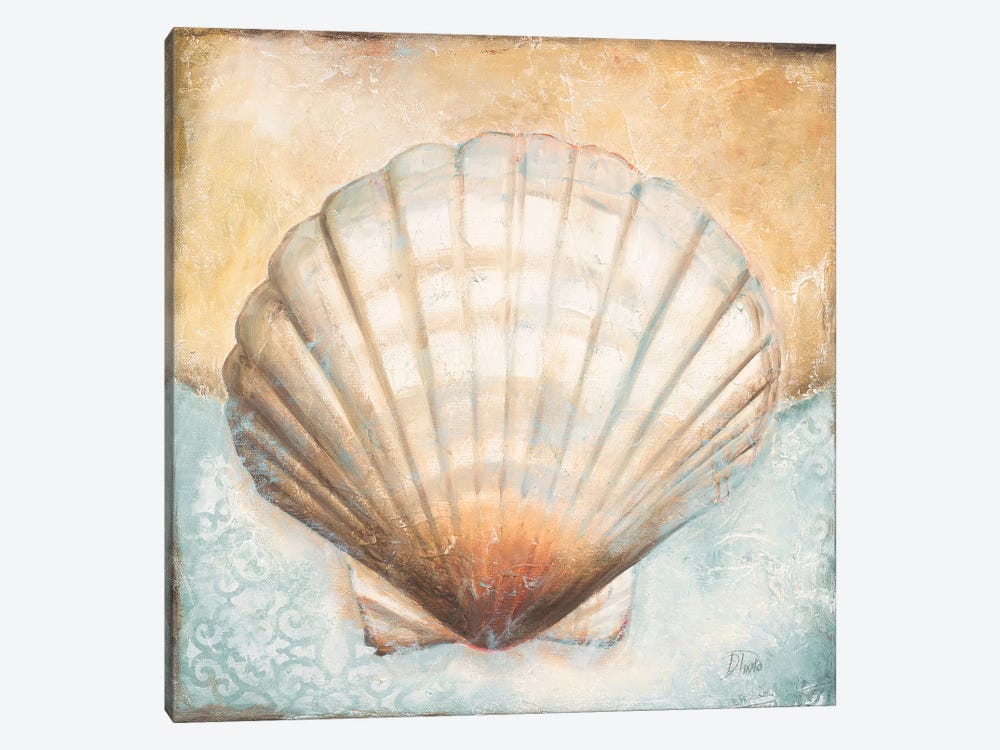 Seashell Collection III by Patricia Pinto 1-piece Canvas Art