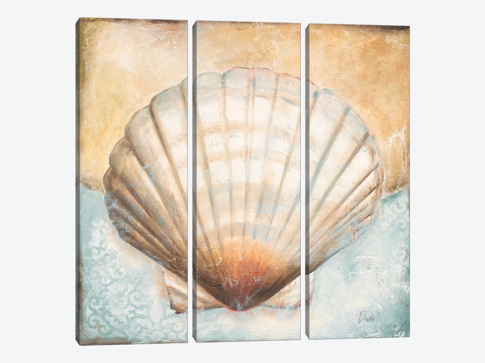 Seashell Collection III by Patricia Pinto 3-piece Canvas Art
