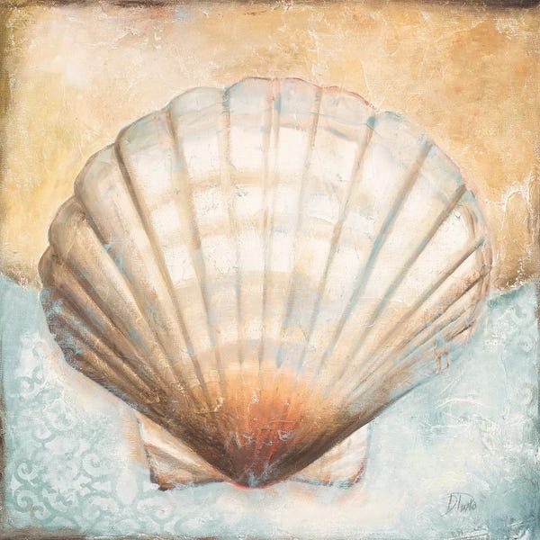 Seashell Collection III