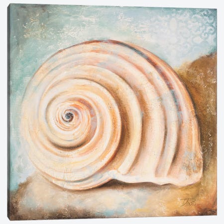 Seashell Collection IV Canvas Print #PPI544} by Patricia Pinto Canvas Artwork