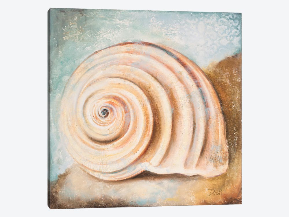 Seashell Collection IV by Patricia Pinto 1-piece Canvas Art Print