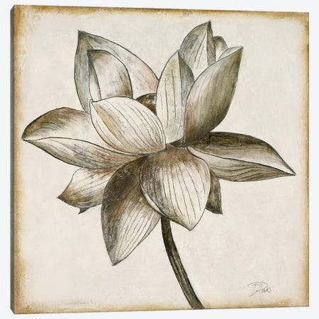 Sepia Lotus I Canvas Print #PPI547} by Patricia Pinto Canvas Art