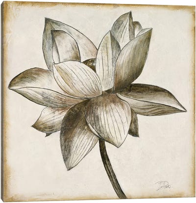 Sepia Lotus I Canvas Art Print - Lotus Art