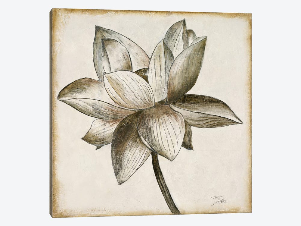Sepia Lotus I by Patricia Pinto 1-piece Canvas Art