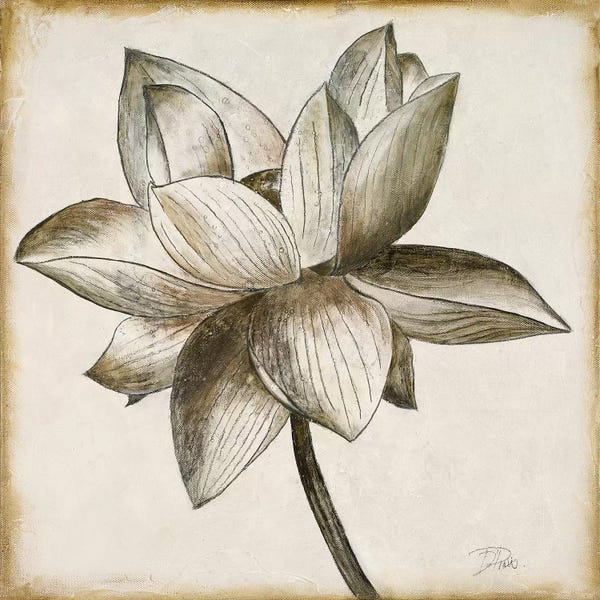 Lotuses: Sepia Lotus I by Patricia Pinto