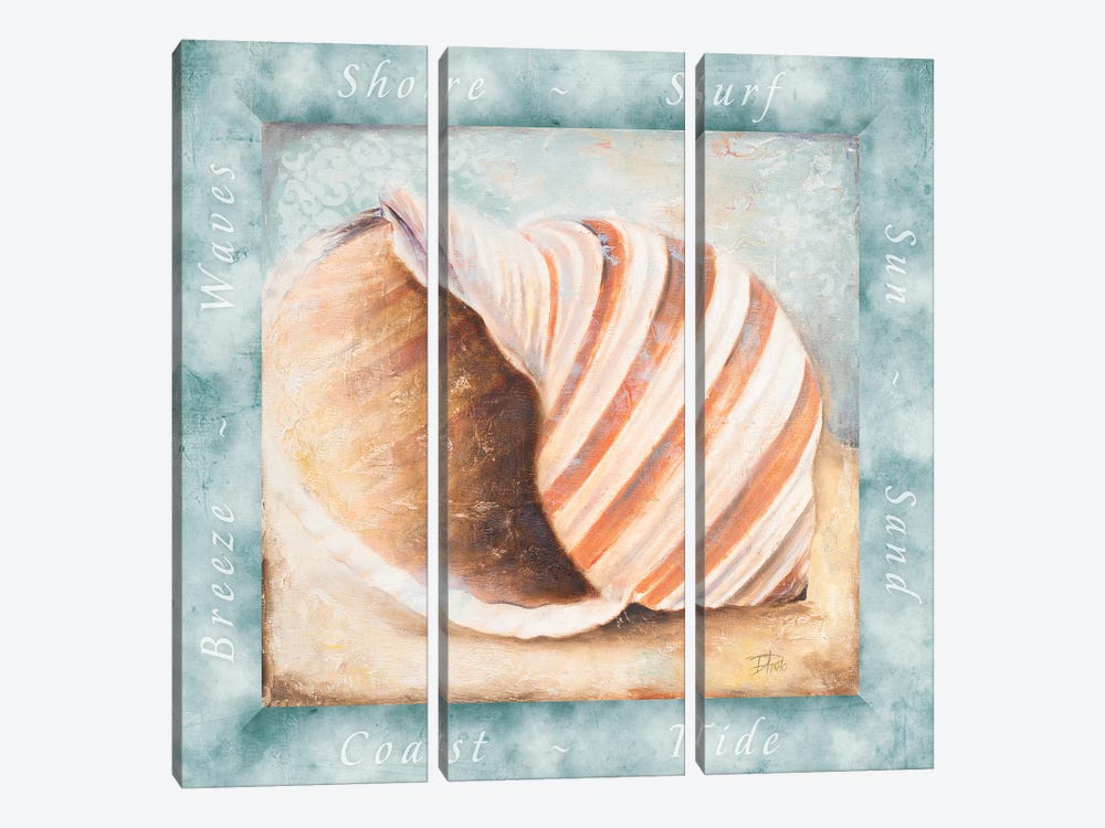 Sun, Sand And Surf I by Patricia Pinto 3-piece Canvas Artwork