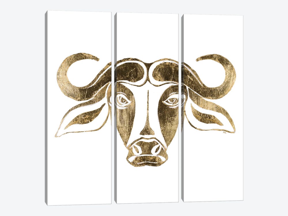The Bull by Patricia Pinto 3-piece Canvas Print