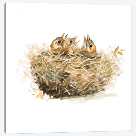 The Nest Canvas Print #PPI569} by Patricia Pinto Art Print