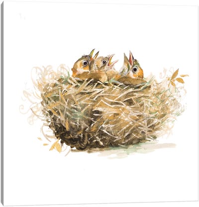 The Nest Canvas Art Print - Nests