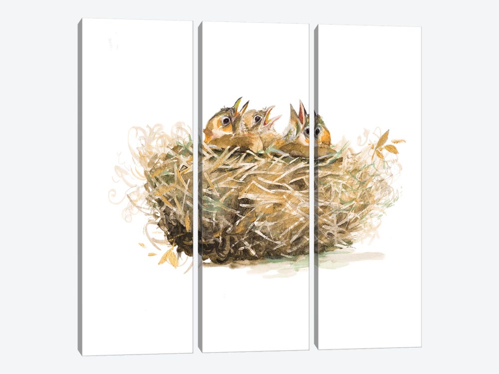 The Nest by Patricia Pinto 3-piece Canvas Artwork