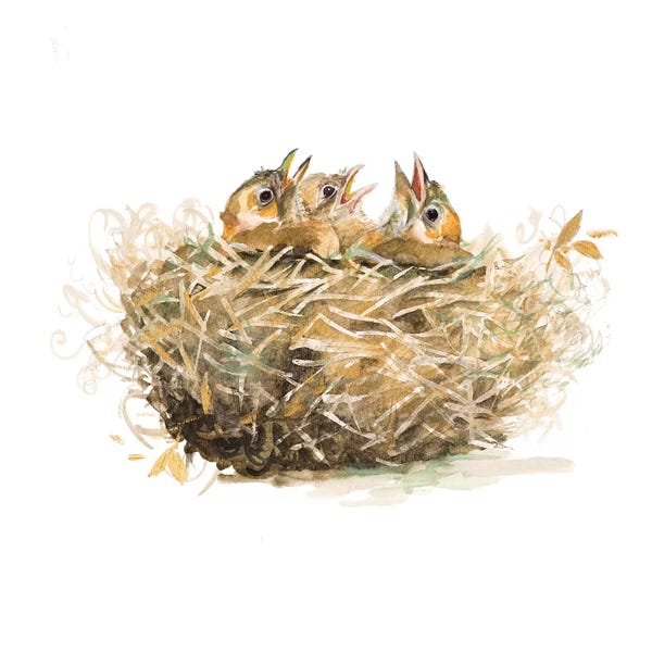 SunDance Group: The Nest by Patricia Pinto