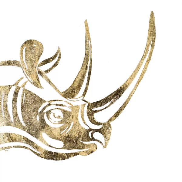 Rhinoceroses: The Rhino by Patricia Pinto