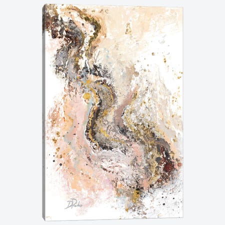 Tierra Rosa Canvas Print #PPI573} by Patricia Pinto Canvas Wall Art