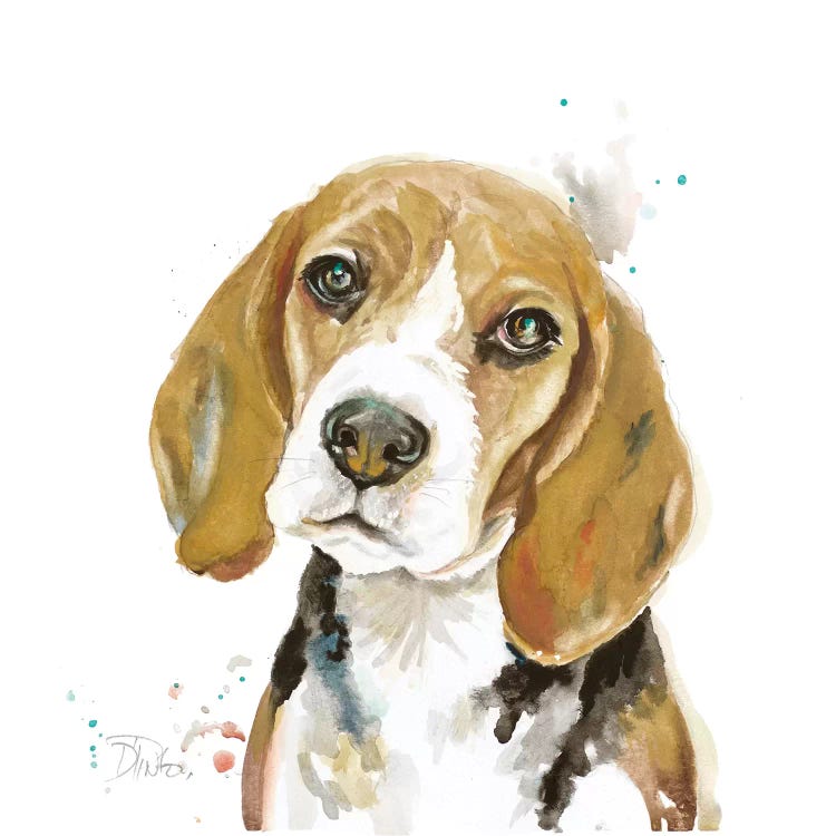 Watercolor Beagle